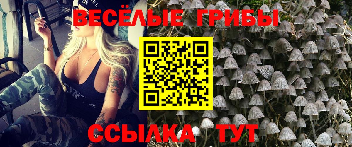 Псилоцибиновые грибы Psilocybe  Вход с VPN  Нальчик 