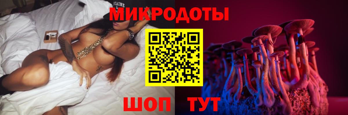 Псилоцибиновые грибы мицелий Нальчик