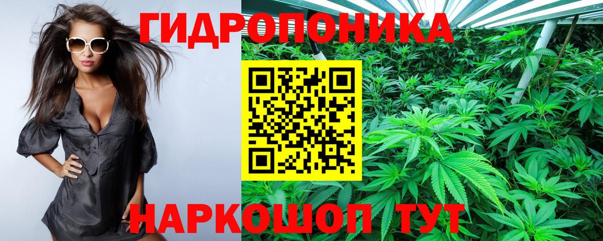 МАРИХУАНА индика  Канабис Bruce Banner  Шишки марихуана семена  Нальчик  Вход с VPN  Канабис Ganja 